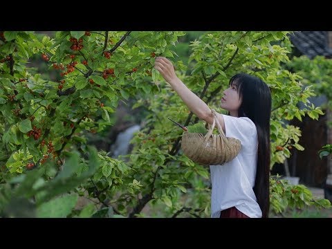 cherry 應季甜點，櫻桃的花樣做法送給你們|Liziqi channel
