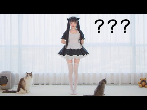 【咬人貓】戀愛迴圈-Funny ver！[Yaorenmao Channel]