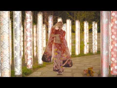 【咬人貓】蟲奉行❤明年也一起去看櫻花吧o(*≧▽≦)ツ 【夜景篇】