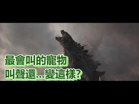 【船長】最大最會叫的寵物是牠！叫聲還… 變這樣？《哥吉拉 GODZILLA》