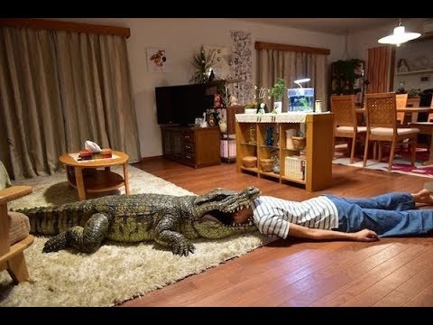 【船長】老婆的特殊情趣讓男子每天回家都難以招架《每天回家老婆都在裝死When I
  Get Home, My Wife Always Pretends to be Dead》