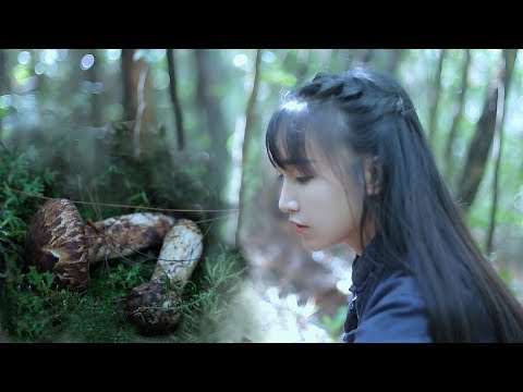 一種如精靈般的食材——松茸