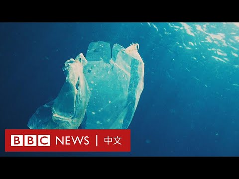 塑膠袋冷知識：原來膠袋起初是一項環保的工具！－ BBC News 中文