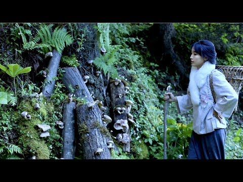 我把香菇種到山裡啦！I planted shiitake mushrooms in
  the mountain! | Liziqi Channel