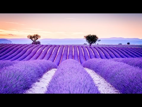 早上最適合聽的輕音樂 – 超好聽的鋼琴曲 – 放鬆解壓 – 純鋼琴輕音樂 –
  鋼琴曲 輕音樂 – 絕美的靜心放鬆音樂 – 放鬆音樂 Relaxing Chinese Piano Music