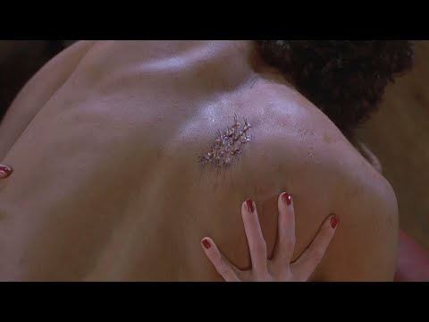 男友變成了蒼蠅人怪物，不知情的女友還繼續交往，結果生下了怪物