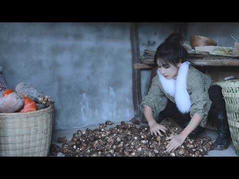 芋頭的一生，辣椒…是送的The life of taro…and pepper
  is today’s treat丨Liziqi Channel