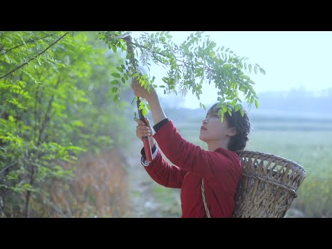 蒜的一生，實在想不出有創意的名字了！下次你們幫我想！The life of
  garlic~ 丨Liziqi Channel