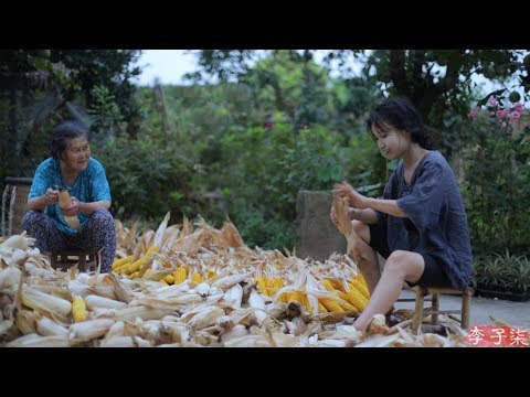 金黃的季節，載滿了收穫的喜悅和玉米的香甜Golden season, full
  of preasure of harvest and sweet corn | Liziqi Channel