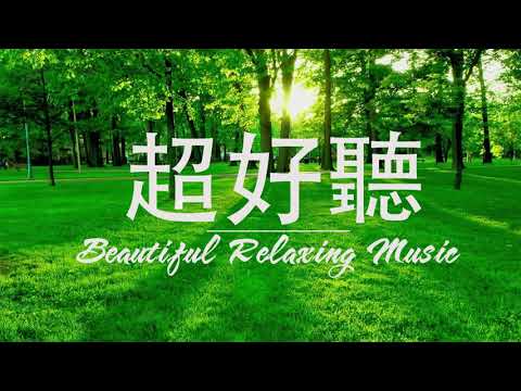 非常好聽??週末最好聽的50首純鋼琴輕音樂
  放鬆解壓 -輕鬆的鋼琴音樂 – 純鋼琴輕音樂-美妙的音樂 Relaxing Piano Music