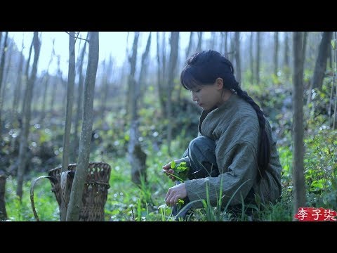 （采野菜）If You Miss the Best Days to Pick
  Wild Herbs, You’ve Missed the Entire Spring |Liziqi Channel