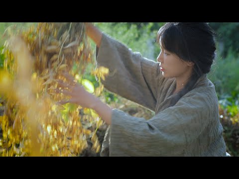 So …it goes like…the life of
  peas!那…只有豌豆的一生了！不是說好“下個視頻”你們幫我取標題的嗎？丨Liziqi Channel