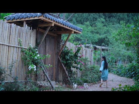 The life of cucumbers黃瓜的一生丨Liziqi Channel