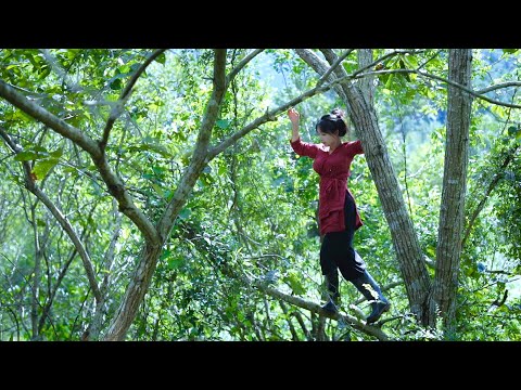 The life of purple rice, pumpkins, and …
  peanuts紫米南瓜的一生…，還有花生丨Liziqi Channel