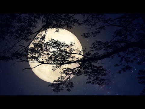 【100% 無廣告 ,放鬆音樂】深度睡眠,放鬆音樂,治療音樂,舒壓按摩音樂,
  睡眠音樂,療癒音樂,鋼琴音樂,波音,鋼琴曲,輕音樂,輕快,BGM,純音樂,鋼琴曲,輕音樂 ★109