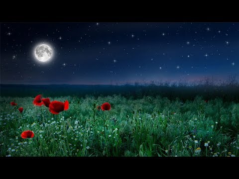 【100% 無廣告 ,放鬆音樂】深度睡眠,放鬆音樂,治療音樂,舒壓按摩音樂,
  睡眠音樂,療癒音樂,鋼琴音樂,波音,鋼琴曲,輕音樂,輕快,BGM,純音樂,鋼琴曲,輕音樂 ★81