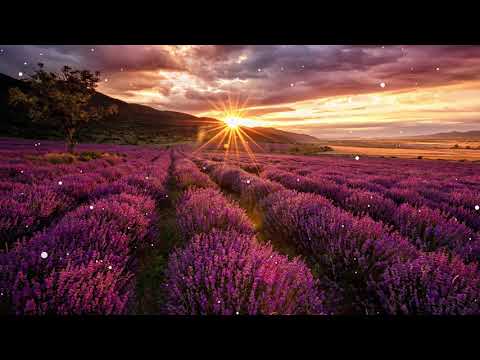 【100%無廣告 ,放鬆音樂】 早上最適合聽的輕音樂 純鋼琴輕音樂 輕鬆的鋼琴音樂 美妙的音樂 放鬆音樂 輕音樂 放鬆 音樂