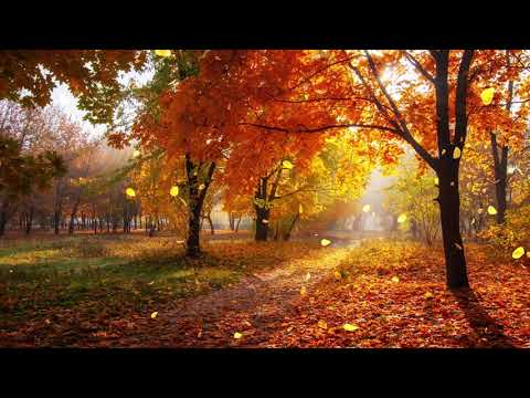 【100%無廣告 ,放鬆音樂】 早上最適合聽的輕音樂 純鋼琴輕音樂 輕鬆的鋼琴音樂 美妙的音樂 放鬆音樂 輕音樂 放鬆 音樂