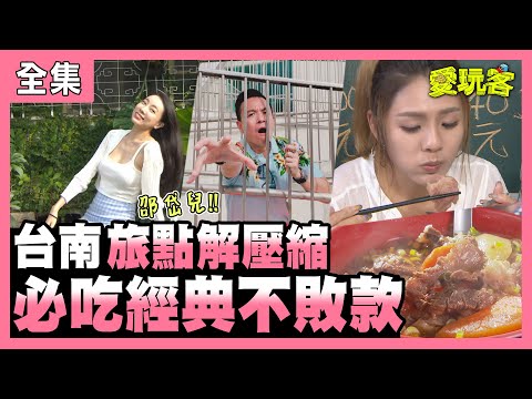 【愛玩客】台南特有種！必吃經典不敗款！！ 20210119 #38｜邵岱兒、小鐘、鮪魚