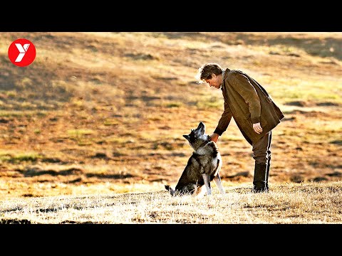 【越哥】豆瓣8.8分，2019年最好的冒險電影，最後幾分鐘直接淚崩！