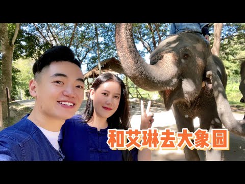 和愛琳一起去泰國最大的大象園，觀看了大象表演，玩得很開心