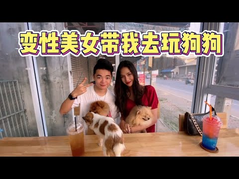 和變性美女一起去清邁狗狗咖啡館,狗狗很多也很可愛