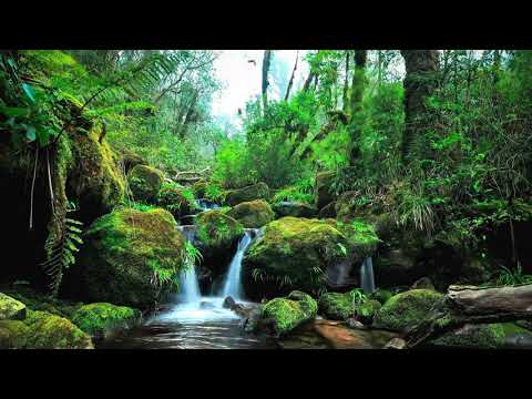 宮崎駿 水晶音樂 放鬆身心 輕音樂~ 適合放鬆 療癒 舒眠 減壓 看書 給寶寶聆聽 CRYSTAL MUSIC RELAX
  MUSIC