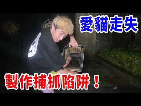 我的貓走丟了!在花園設置捕抓陷阱!竟抓到一堆奇怪生物!【好棒Bump】