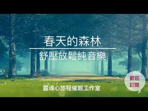 春天的森林｜一小時舒壓放鬆純音樂｜
  療癒減壓無憂｜大自然與鋼琴旋律｜心靈SPA｜＃Stay Home