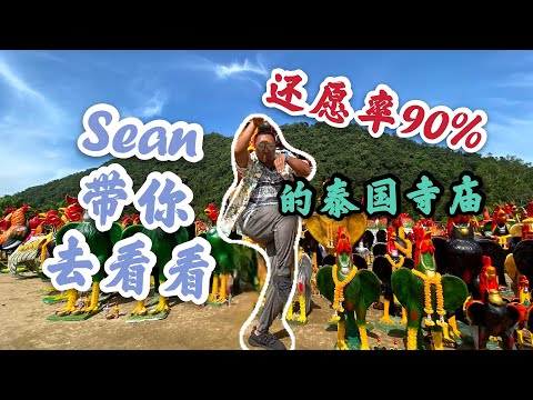 泰國還願率90%的寺廟，為啥那麼多雞？Sean帶你去看看