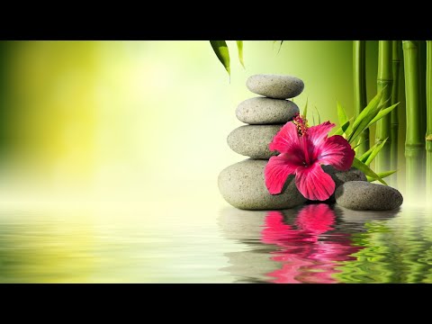 竹製噴泉,鋼琴音樂放鬆,自然放鬆音樂,純音樂
  放鬆,自然聲音,緩解壓力,純鋼琴輕音樂 Relaxing Music With Bamboo Fountain