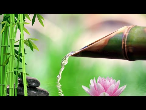竹製噴泉,鋼琴音樂放鬆,自然放鬆音樂,純音樂
  放鬆,自然聲音,緩解壓力,純鋼琴輕音樂 Relaxing Music With Bamboo Fountain