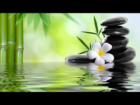 竹製噴泉,鋼琴音樂放鬆,自然放鬆音樂,純音樂
  放鬆,自然聲音,緩解壓力,純鋼琴輕音樂 Relaxing Music With Bamboo Fountain