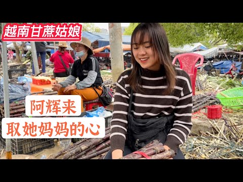 越南泡妞者又來全買小兒的甘蔗，來取丈母娘的心。看她媽媽有什麼反應。