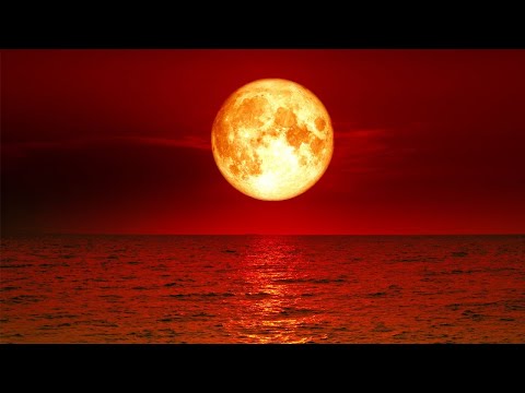 ? Sleep 24/7【100% 無廣告
  ,放鬆音樂】深度睡眠,放鬆音樂,治療音樂,舒壓按摩音樂, 睡眠音樂,療癒音樂,鋼琴音樂,波音,鋼琴曲,輕音樂,輕快,BGM,純音樂,鋼琴曲,輕音樂