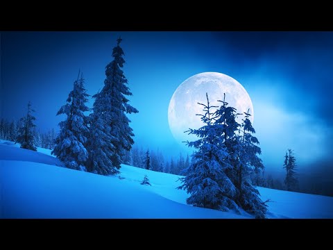 ? Sleep 24/7【100%無廣告 ,睡眠音樂】睡眠音樂
  輕音樂 輕快 | 深度睡眠 | 睡眠輕音樂 放鬆 | 純音樂 輕快 安靜音樂 | 放鬆音樂 背景音樂 輕快 | 禪修音樂 心靈