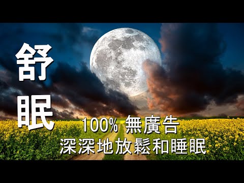 【100% 無廣告 ,放鬆音樂】深度睡眠,放鬆音樂,治療音樂,舒壓按摩音樂, 睡眠音樂,療癒音樂,鋼琴音樂,波音,鋼琴曲,輕音樂,輕快,BGM,純音樂,钢琴曲,轻音乐,放松音乐 ☯24