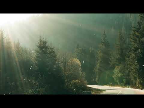 【100%無廣告 ,放鬆音樂】 早上最適合聽的輕音樂 純鋼琴輕音樂 轻松的钢琴音乐 美妙的音樂 放鬆音樂 輕音樂 放鬆 音樂