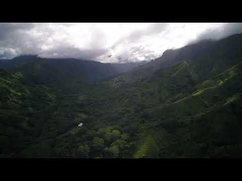 【100%無廣告 ,放鬆音樂】 早上最適合聽的輕音樂 純鋼琴輕音樂 轻松的钢琴音乐 美妙的音樂 放鬆音樂 輕音樂 放鬆 音樂