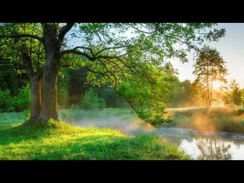 【100%無廣告 ,放鬆音樂】 早上最適合聽的輕音樂 純鋼琴輕音樂 轻松的钢琴音乐 美妙的音樂 放鬆音樂 輕音樂 放鬆 音樂