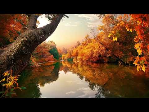 【100%無廣告 ,放鬆音樂】 早上最適合聽的輕音樂 純鋼琴輕音樂 轻松的钢琴音乐 美妙的音樂 放鬆音樂 輕音樂 放鬆 音樂