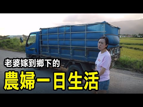 【務農夫婦】第163篇【老婆的農婦一日生活都在做什麼?】