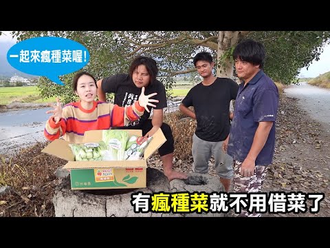 【務農夫婦】第185篇【以前跟老爸借菜，現在我們瘋種菜】