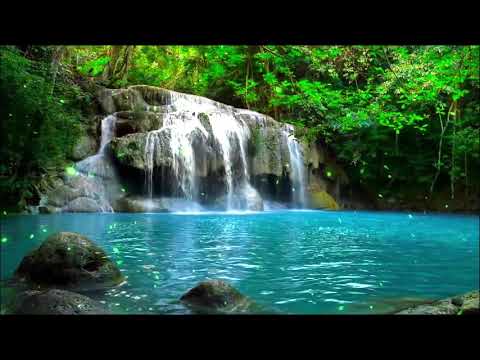 【放鬆心情的鋼琴曲】早上最適合聽的輕音樂放鬆解壓
  ☕美妙的音樂 – 純鋼琴輕音樂 – 輕音樂 睡覺 -放鬆音-Relaxing Piano★