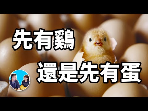 【補坑】究竟是先有鷄還是先有蛋，一部只有四歲抬頭才能看懂的科幻電影 | 老高與小茉 Mr & Mrs Gao