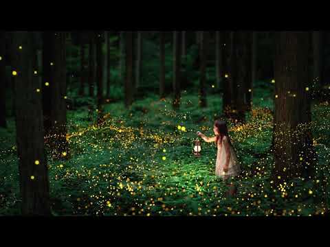 宮崎駿 水晶音樂
  放鬆身心 輕音樂~ 適合放鬆 療癒 舒眠 減壓 看書 給寶寶聆聽 CRYSTAL MUSIC RELAX MUSIC