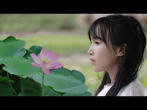 教你們一個手殘星人也毫無壓力的硬菜:荷葉糯米排骨 丨Liziqi Channel