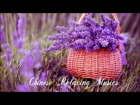 早上最適合聽的輕音樂 – 超好听的钢琴曲 – 放鬆解壓 – 純鋼琴輕音樂 – 鋼琴曲 輕音樂 – 絕美的靜心放鬆音樂 – 放鬆音樂 Relaxing Chinese Piano Music