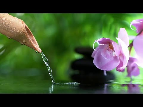 竹製噴泉,鋼琴音樂放鬆,自然放鬆音樂,纯音乐 放松,自然聲音,緩解壓力,純鋼琴輕音樂 Relaxing Music With Bamboo Fountain