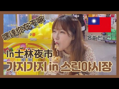 대만 스린 야시장가서 가지가지하고 온 한국인